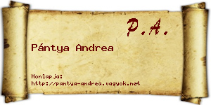 Pántya Andrea névjegykártya