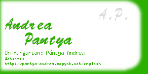 andrea pantya business card